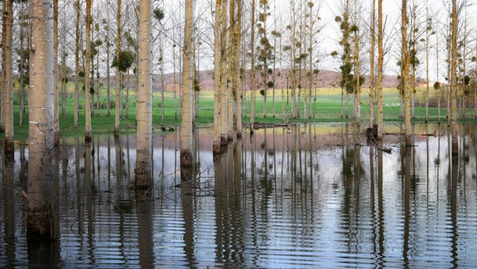 Los ayuntamientos extremeños afectados por las inundaciones contratan desempleados para la reconstrucción con fondos del SEPE